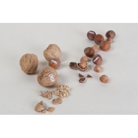 Noisettes et noix Koki